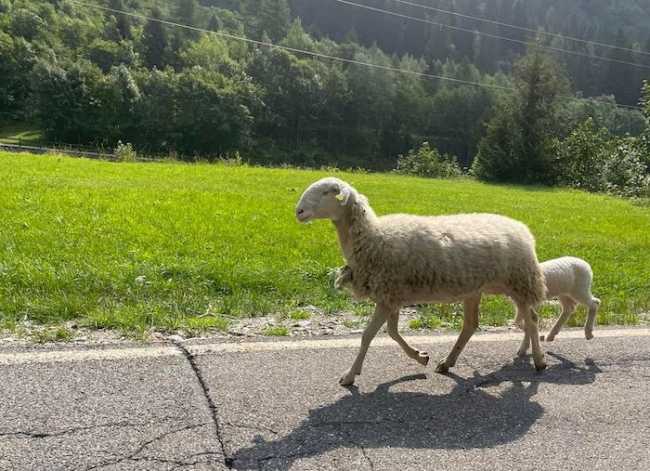 298889461 10227610699163320 5189090277933456527 n