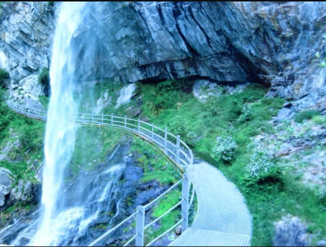 299352119 5000346626736105 5566382629193674107 n