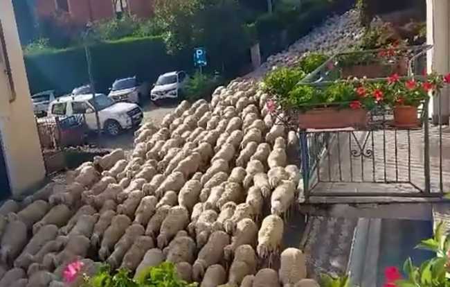 29c30743 d7d2 4ffb aabd b15ee86f0efe V2F 2025 09 07 12 24 25 232