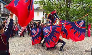 300palio varzo 2015 sbandieratori