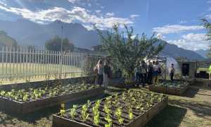 305579477 1537314910050602 9222289691103539084 n