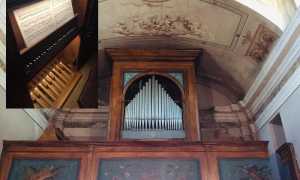 305710481 10228103089472258 1283653404792251956 n