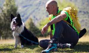 306893224 2601681403301833 1767989277672687056 n