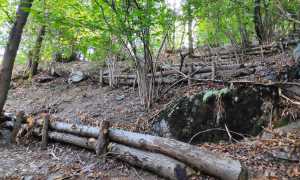 306999403 459865619513496 8335022973811346965 n