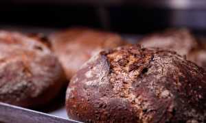 310815243 135506419231702 4842501840475437189 n