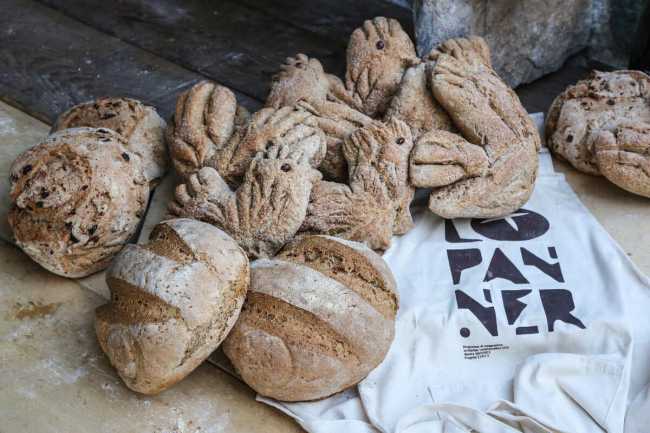 311721702 432031652371858 6290380137779351518 n