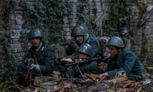 317561006 515720853929235 2486313862897908675 n