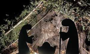 319894084 553521629639535 2368807946058241459 n