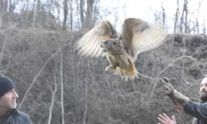 332483327 911534970001023 3237052843681461084 n