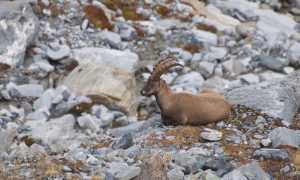 337701951 546585317602127 7501438572273707790 n