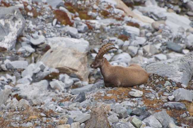 337701951 546585317602127 7501438572273707790 n