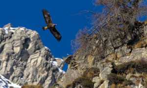 387246440 23861733360990224 6896074758387122909 n