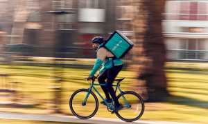 40170243401 faebf9927f c