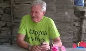 44351670 115063589481277 4372385971296010240 n