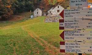 455926348 889582043217921 1513079680449203333 n