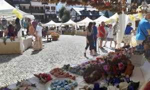 481270791 1233626935432189 3252558564112019785 n