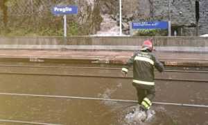 490962650 1203049078492945 1682580855958118522 n