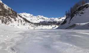 49193172 1193119977512440 4343782060335300608 n