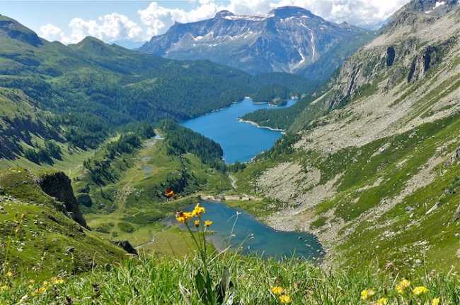 491977884 1007467734863608 6317955557124027330 n