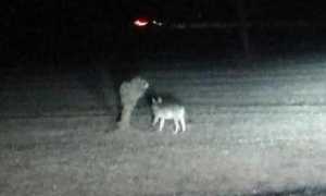 50299945 10217952842603122 8775840219887828992 n