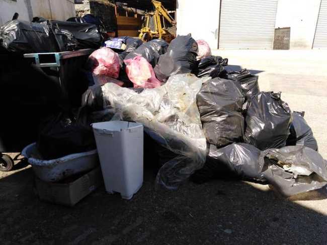 55554423 2185992565047561 6636105096616738816 n