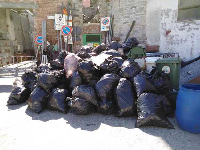 55944888 2185992478380903 6225228050972278784 n