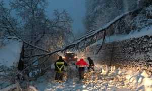 56340083 10213977613611309 7668131771581464576 n