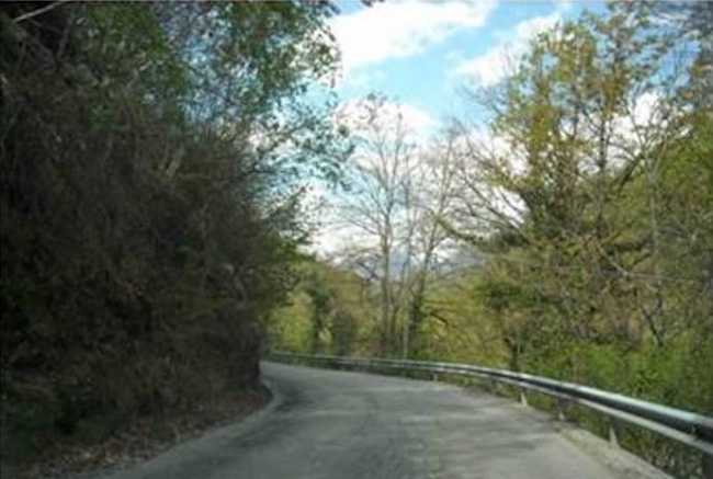 58542865 401408027346979 3358687111489257472 n