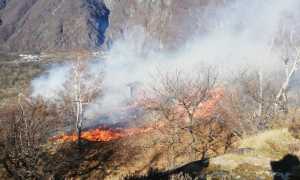 639b763b 7488 46a4 9735 46989a464361