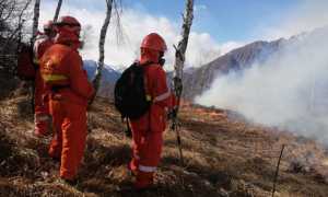 6d818a41 c9bf 41b9 98bd edff3ff82f31