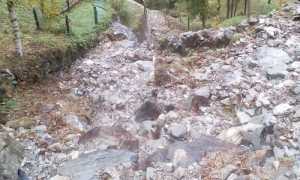 72893696 2501345839951486 8253220383038111744 o