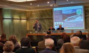 79020906 10220531056047631 5410738789490360320 n