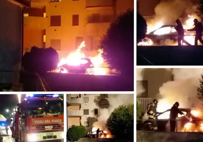 7C14A2C3 B00F 4E9C A235 B4D9DA1A2B4B