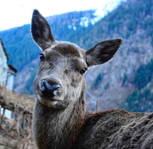 81046223 10220735979939123 1388599378184241152 o