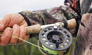 9C554C20 DE3C 4A82 B83A 4FEE3D976453