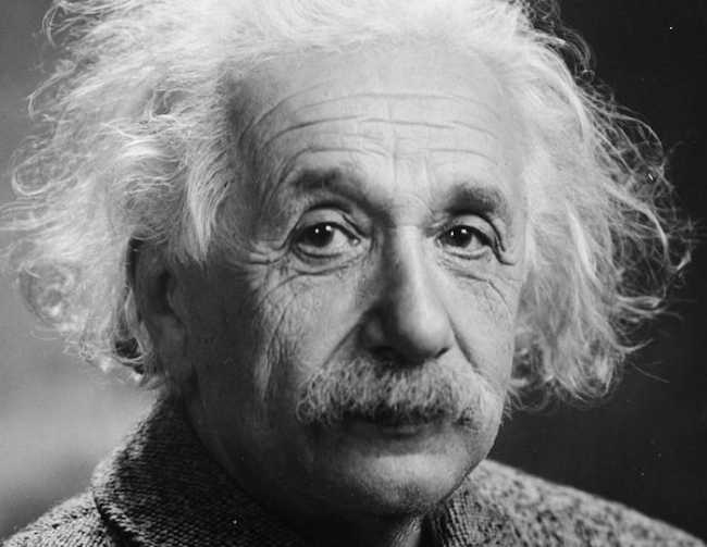 Albert Einstein Head