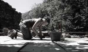 Associazione Canova Terrazza