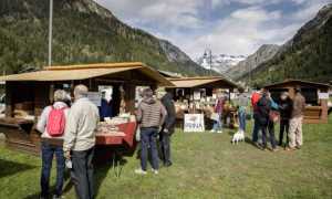 BC9FB649 B81D 466F 8F58 A8CD82C9CF60 images articles vco ossola 2020 settembre Patate formazza thumb medium650 0