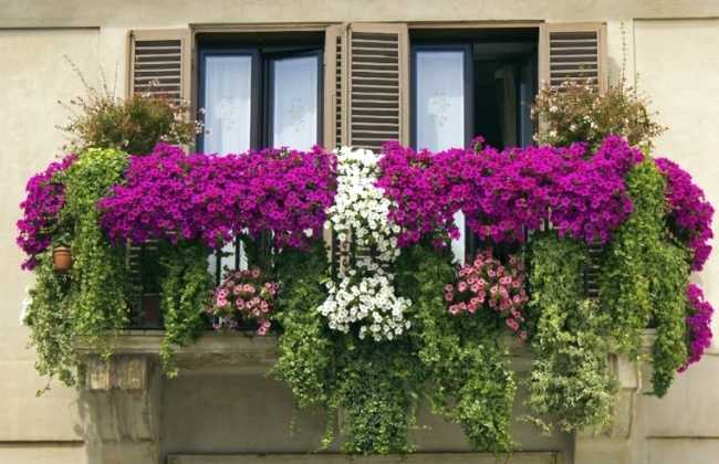 Balcone fiorito