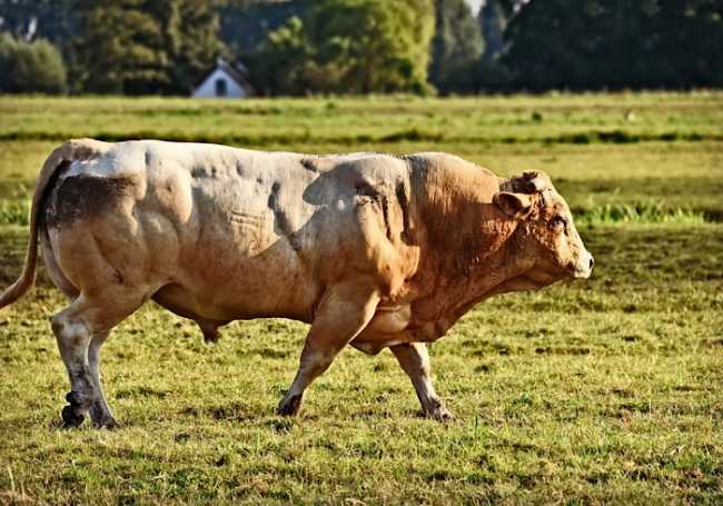 C1A4B0B8 BCB8 4768 8920 7635CD12282B