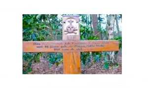 Castione premosello croce