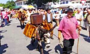 DC573923 69B6 4980 885C 6E39A87A3FAC