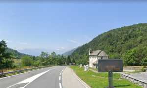 DRUOGNO SS337