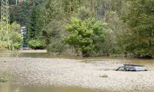 EED8D54F 4062 476A BF39 EDE7F9F593E3