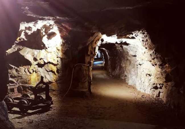 IMG 20240117 132644 6301