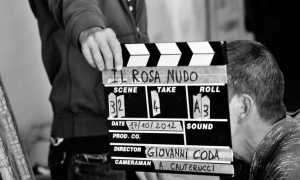 Il rosa nudo1