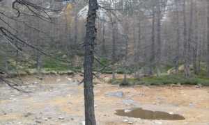 Lago delle Fate in secca 1 nov 2020