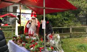 Mercatini di Crevoladossola 5