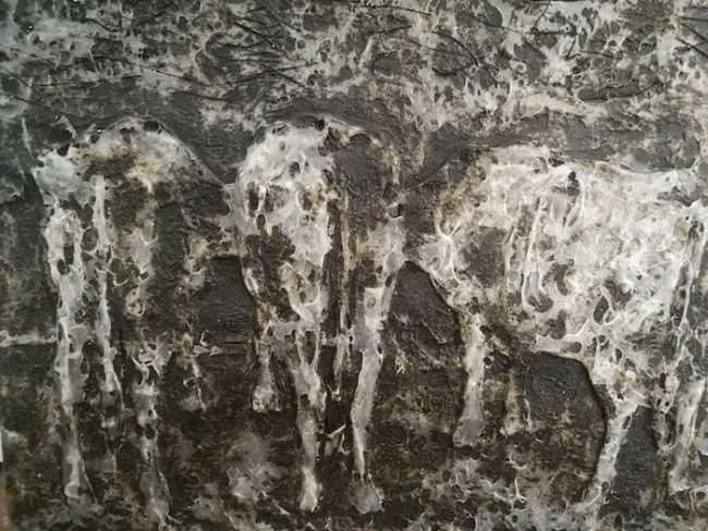 Mostra Bellezza Bruttezza SMM 2018 6