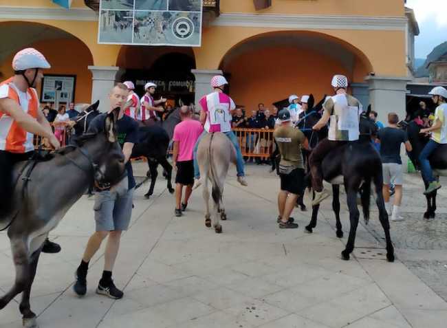 Palio Premosello 2022